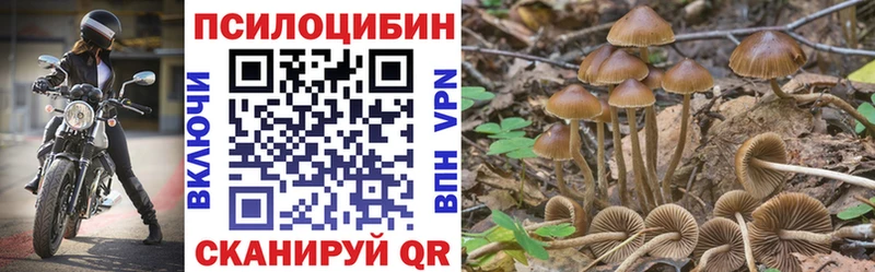 дарк нет формула  Сусуман  Псилоцибиновые грибы Cubensis 